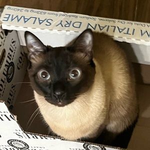 Meet your Posher, Delaney